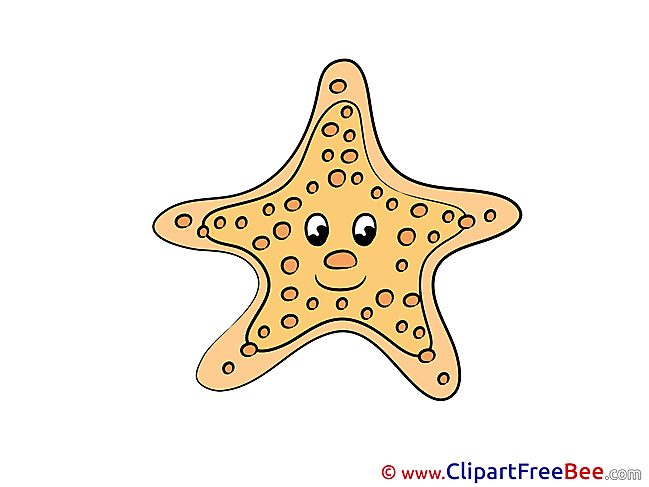 Starfish Clipart free Image download