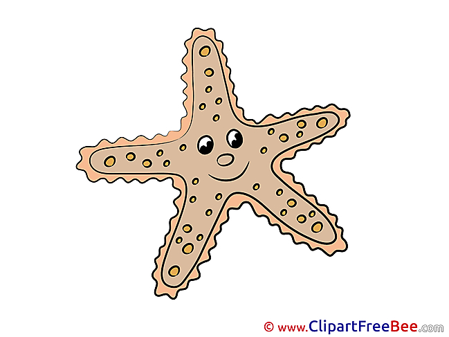 Starfish Cliparts printable for free