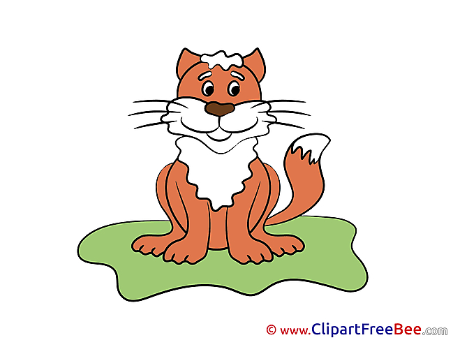 Tiger free Illustration download