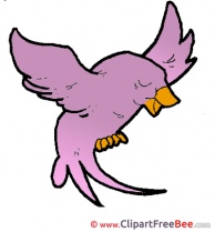 Bird Singer Clipart free Illustrations