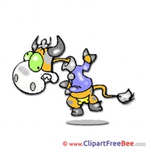 Bull Images download free Cliparts