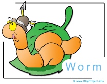 Cartoon Worm Clip Art Image free