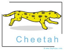 Cheetah Clip Art Image free