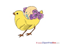 Chicken Clipart free Illustrations