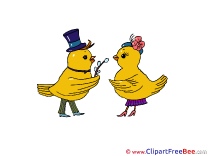 Chicken free Cliparts for download
