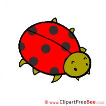 Clipart Ladybug free Image download