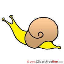 Clipart Snail free Illustrations