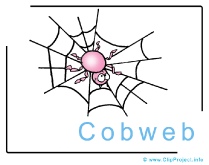 Cobweb Clip Art Image free