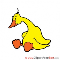 Goose free Cliparts for download
