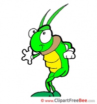 Grasshopper printable Images for download