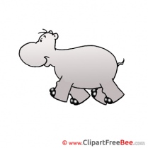 Hippopotamus Pics download Illustration