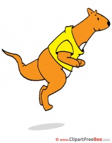 Jumping Kangaroo Pics free Illustration