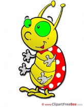 Ladybug Clipart free Illustrations