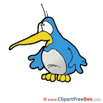 Penguin download Clip Art for free
