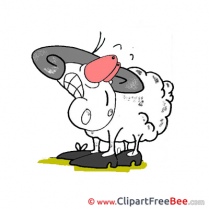 Sheep free printable Cliparts and Images