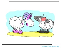 Sheeps Clip Art Image free - Animals Clip Art Images free