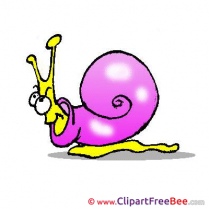 Snail Pics free download Image