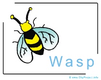 Wasp Clip Art Image free