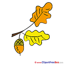 Acorn Branch printable Illustrations Autumn