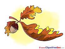 Acorn Leaf free Illustration Autumn