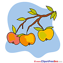 Apples Pics Autumn free Cliparts