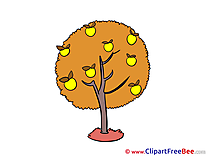 Apples Tree download Clipart Autumn Cliparts