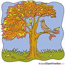 Bird Tree free Illustration Autumn