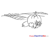 Coloring Vegetables download Autumn Illustrations