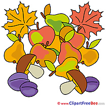 Fruits Pics Autumn Illustration