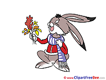 Hare Leaves Autumn Illustrations for free