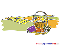 Harvest Basket Clipart Autumn free Images