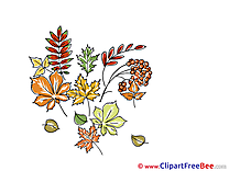 Herbarium Clipart Autumn Illustrations