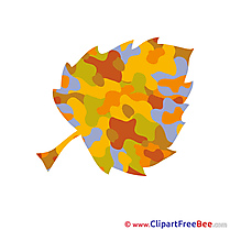 Pics Leaf Autumn Illustration