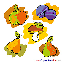 Plums Pears free Cliparts Autumn