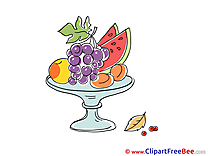 Vase Fruits Autumn download Illustration