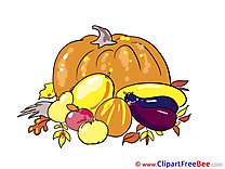Vegetables Clip Art download Autumn