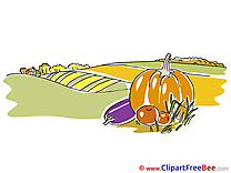 Vegetables Field Clipart Autumn Illustrations