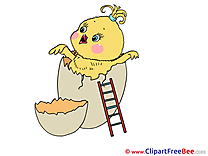 Egg Chicken Clipart Birthday Illustrations