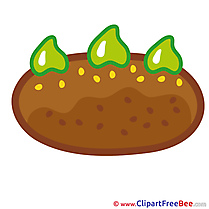 Little Cake Birthday Illustrations for free