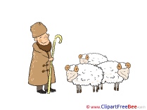 Shepherd Sheeps free Cliparts for download