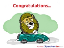 Lion Driver Clip Art download for free