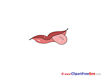 Stick out Tongue Cliparts printable for free