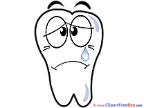 Tooth Clipart free Illustrations