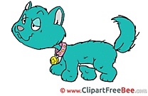 Cat free Illustration download