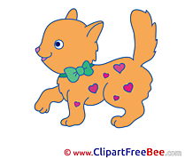 Hearts Cat Pics free download Image