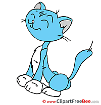 Kitty free Illustration download