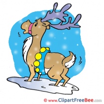 Deer Cliparts Christmas for free