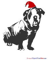 Dog Black Christmas free Images download