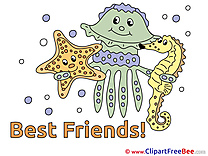 Medusa Starfish Sea Horse free Illustration Best Friends