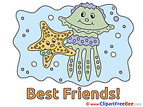 Starfish Medusa Pics Best Friends Illustration